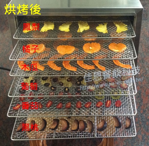 入門款-小型果乾機