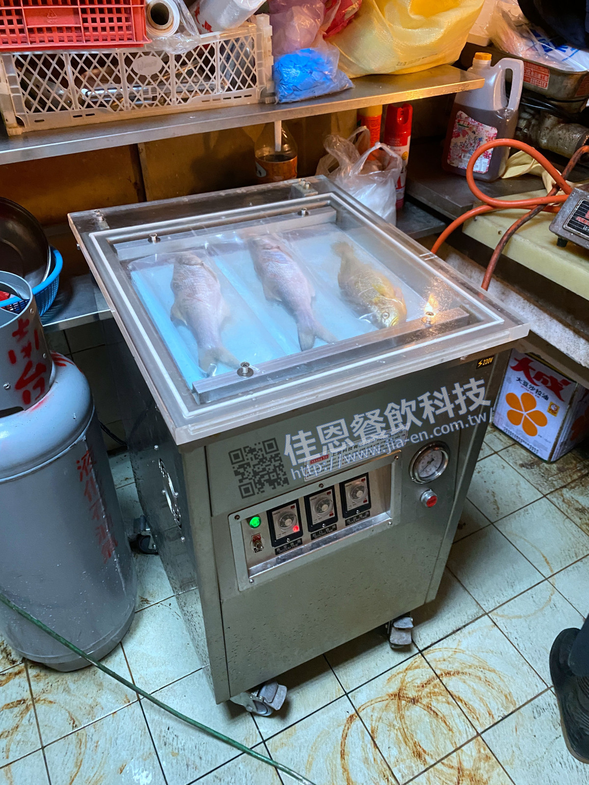 全不鏽鋼智能型 真空包裝機